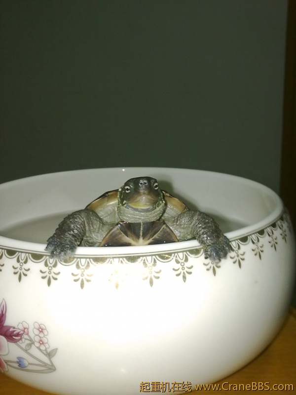 20110814144.jpg