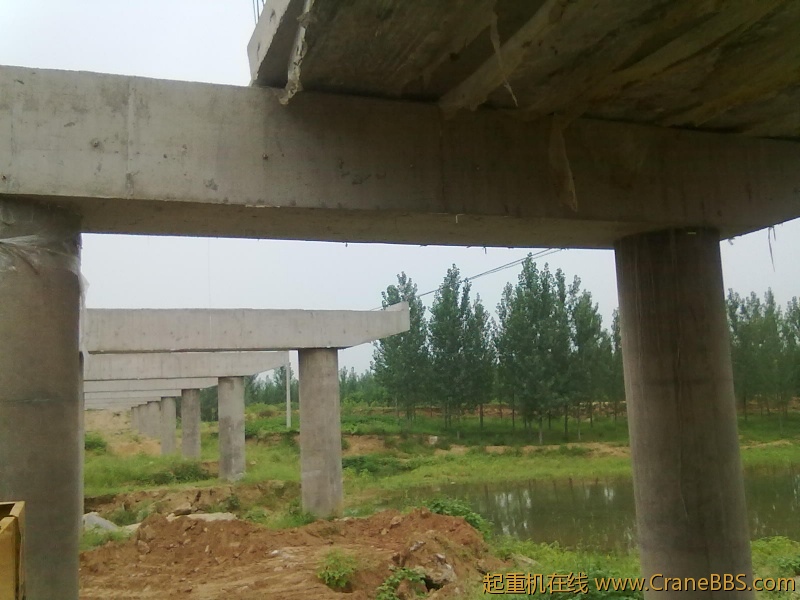 20110817314.jpg
