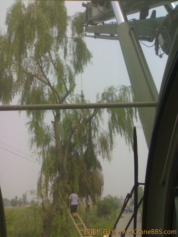20110814046.jpg