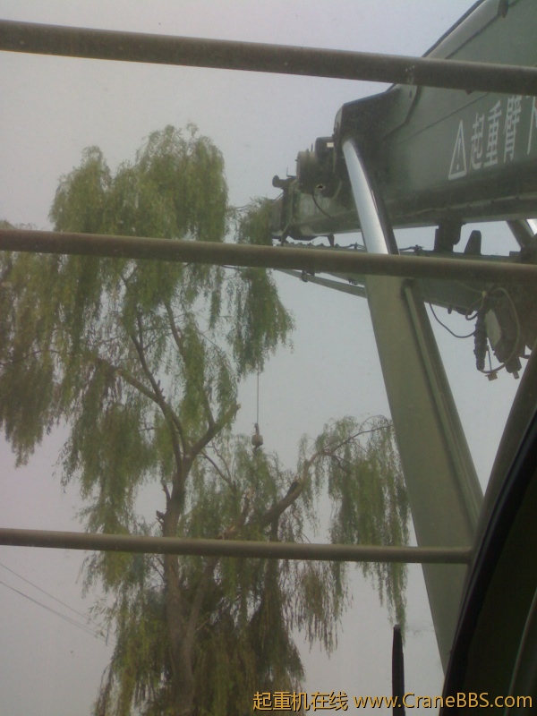 20110814047.jpg