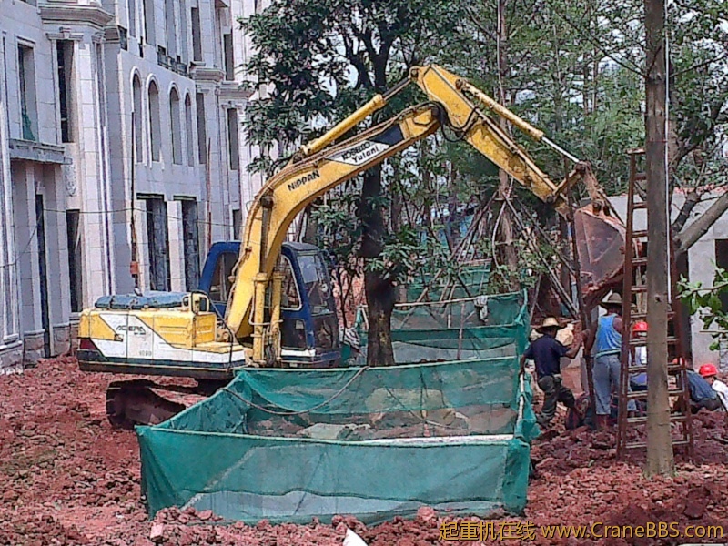 20110808134.jpg