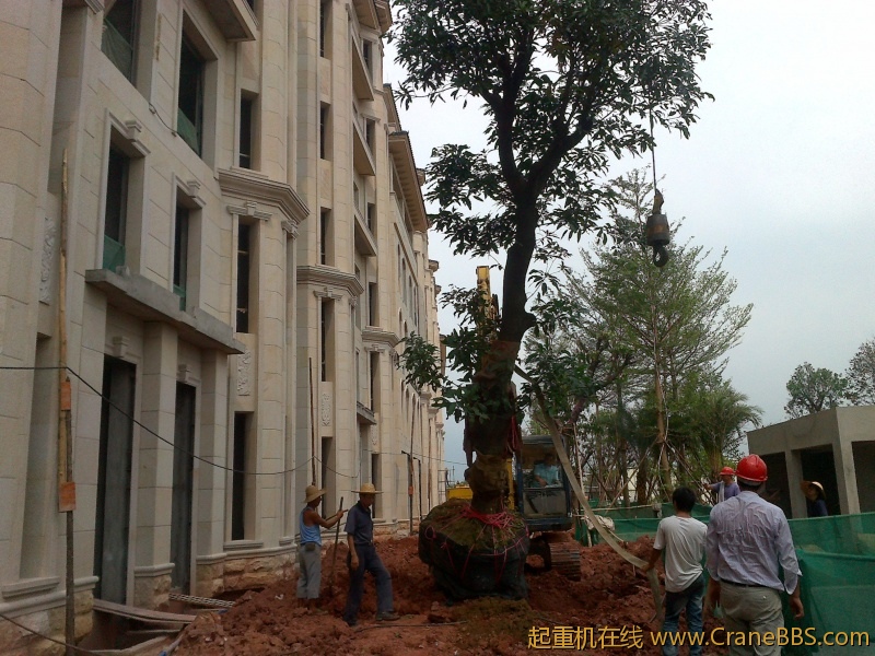 20110808127.jpg