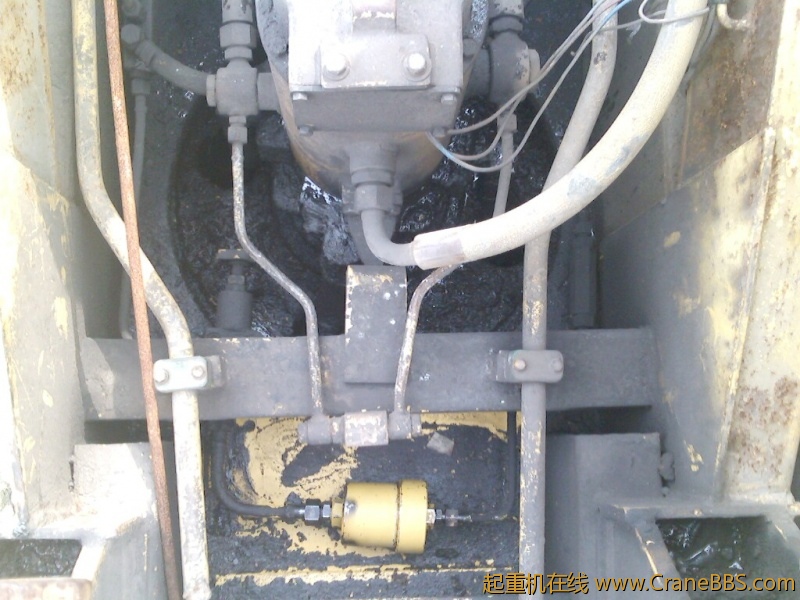 IMG0003A.jpg
