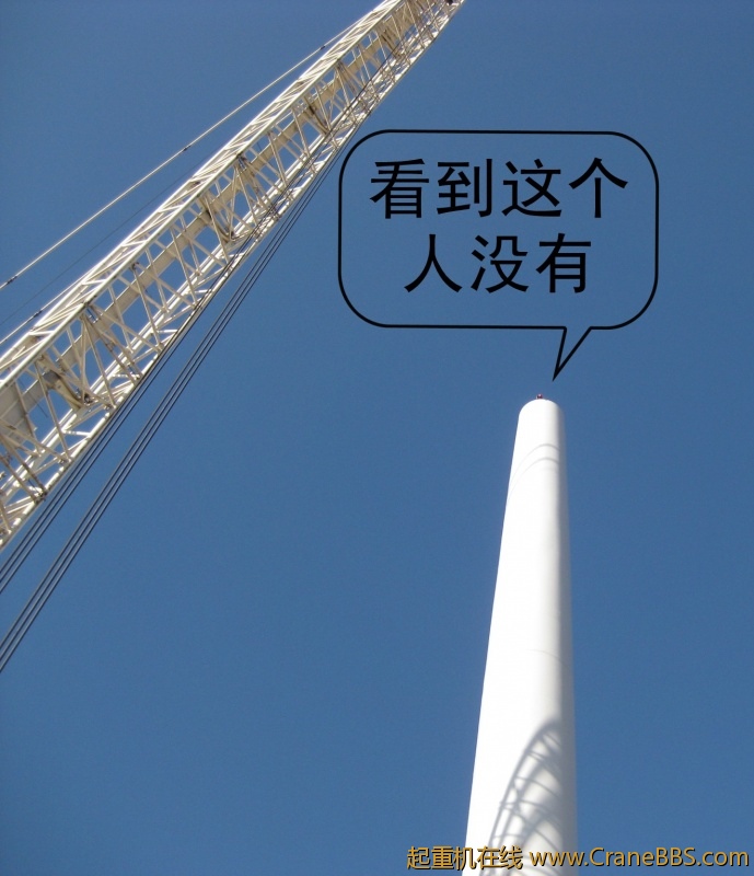 IMG_1480_conew1.jpg