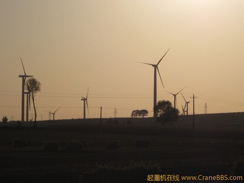 IMG_1391_conew1.jpg