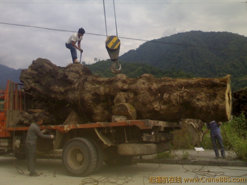 20110825036.jpg