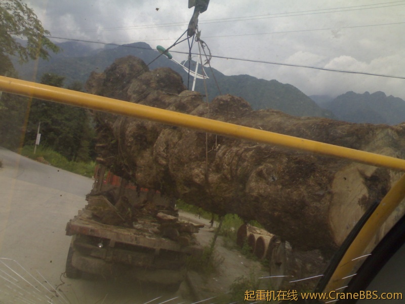 20110825038.jpg