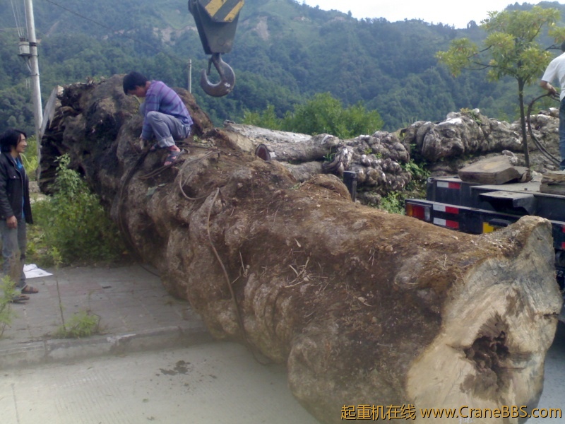 20110825039.jpg