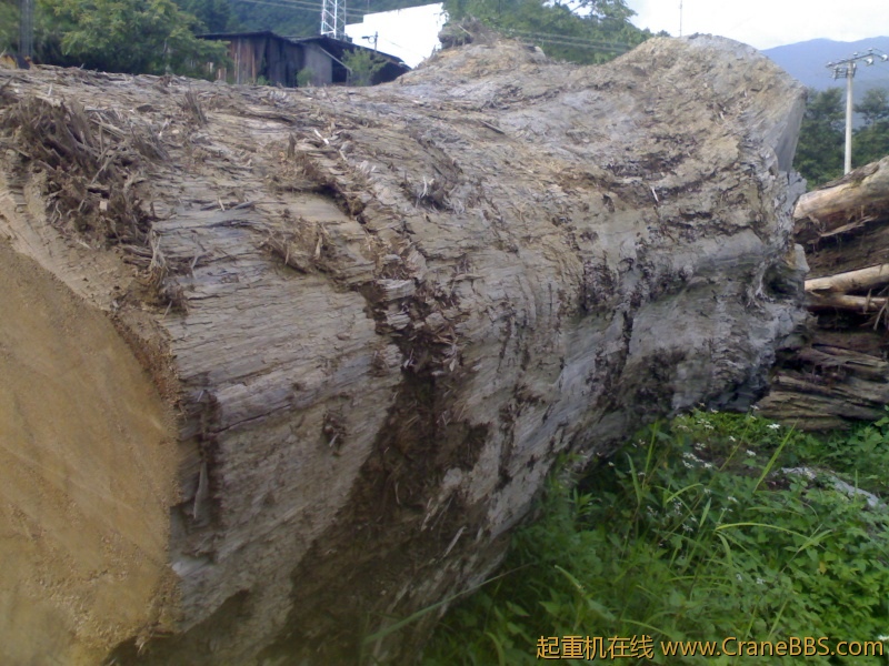 20110825040.jpg