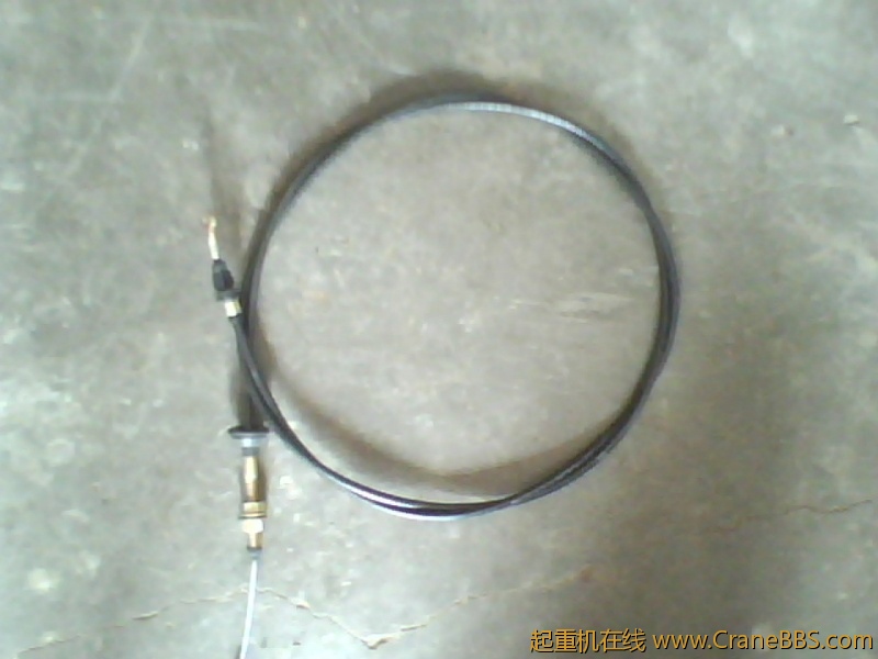 IMG0925A.jpg