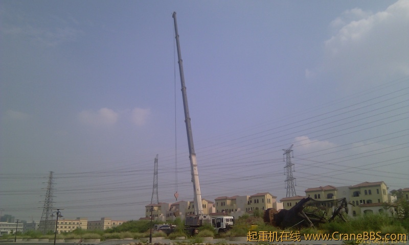 IMAG0253.jpg