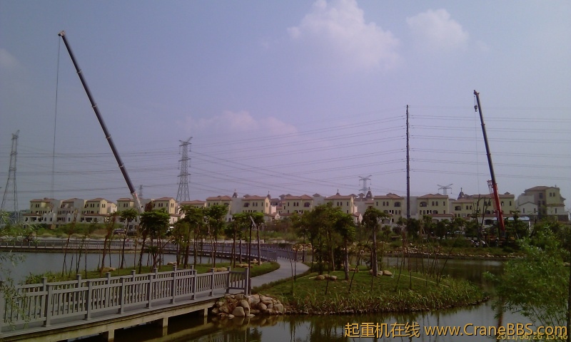 IMAG0256.jpg