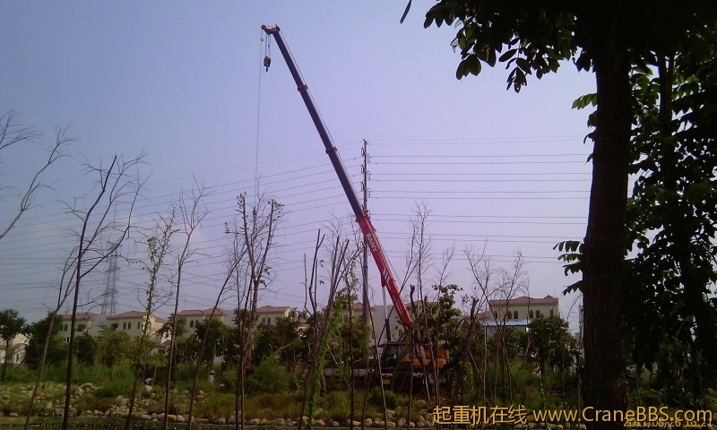 IMAG0259.jpg