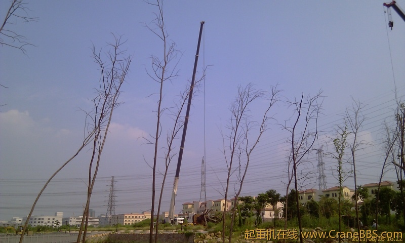 IMAG0260.jpg