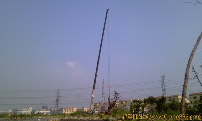 IMAG0262.jpg