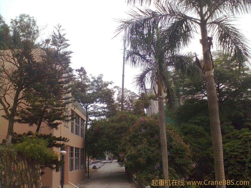 图像0810.jpg
