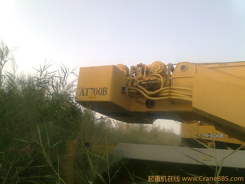 图像2303.jpg