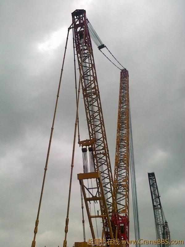 20110822207_conew1.jpg