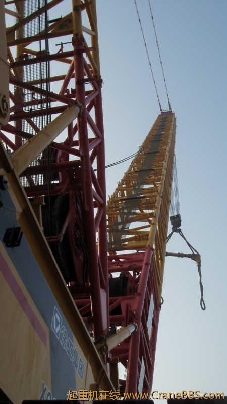 S73F2443_conew1.JPG