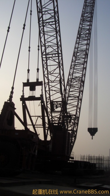 S73F2432_conew1.JPG
