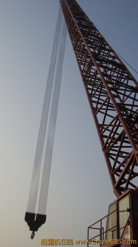 S73F2438_conew1.JPG