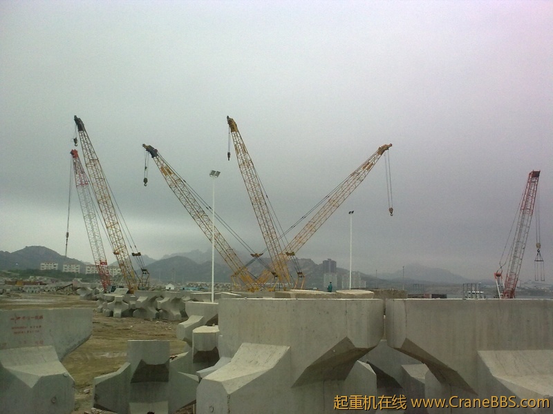 20110805001.jpg