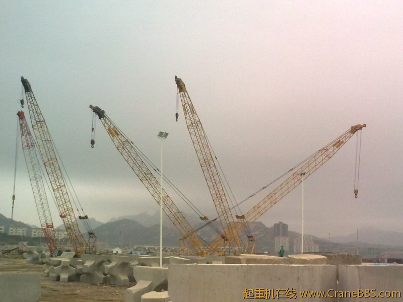 20110805002.jpg