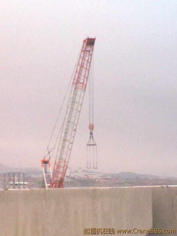 20110805003.jpg