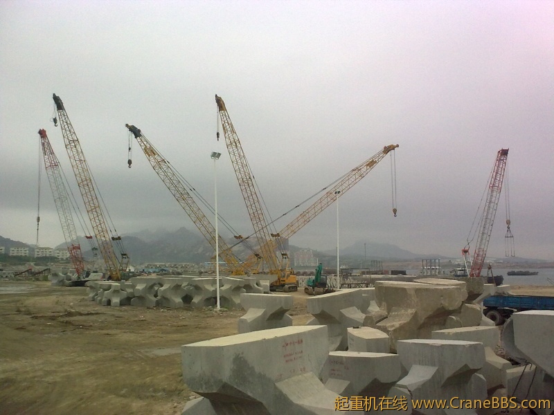 20110805004.jpg