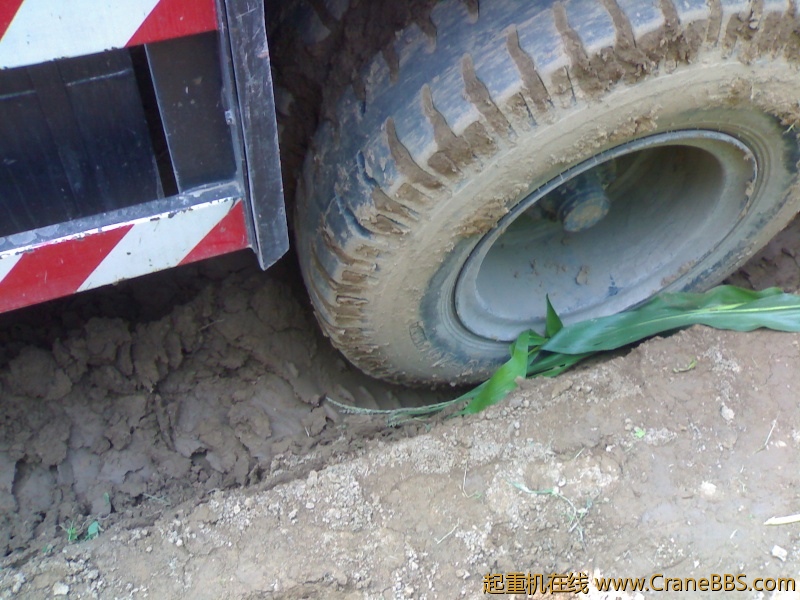 20110829079.jpg