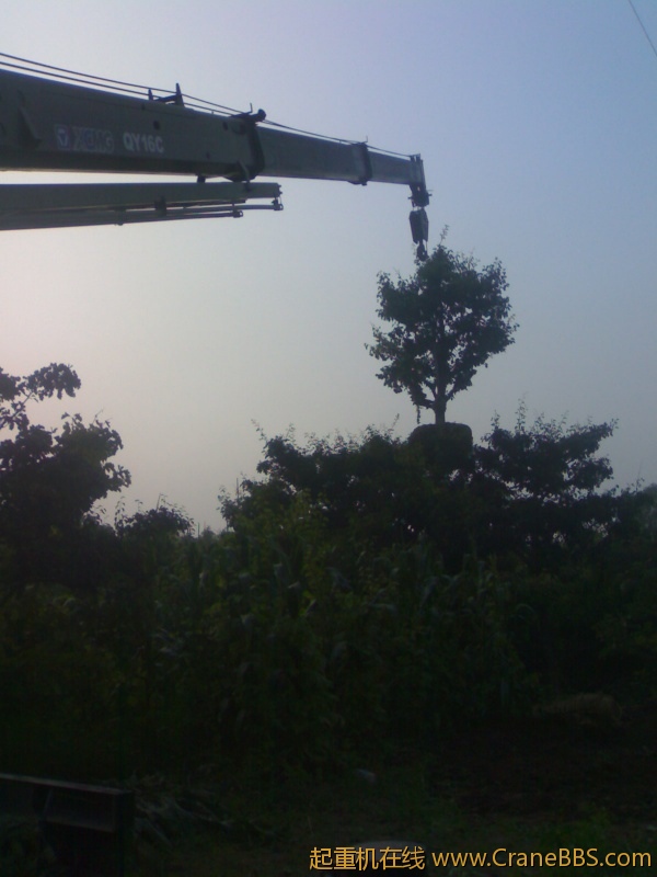 20110829093.jpg