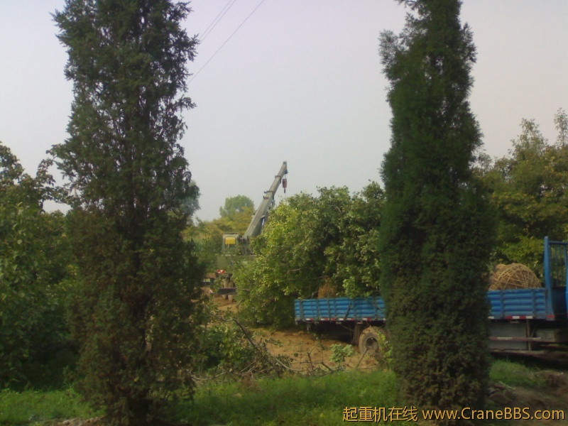 20110829084.jpg
