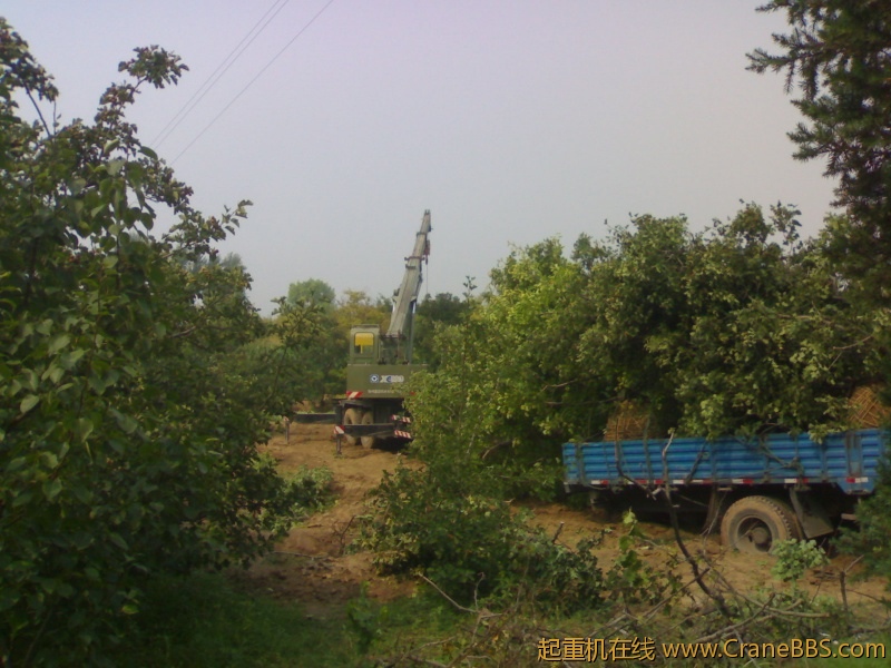 20110829085.jpg