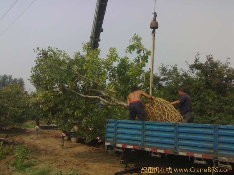 20110829086.jpg