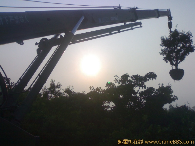 20110829094.jpg