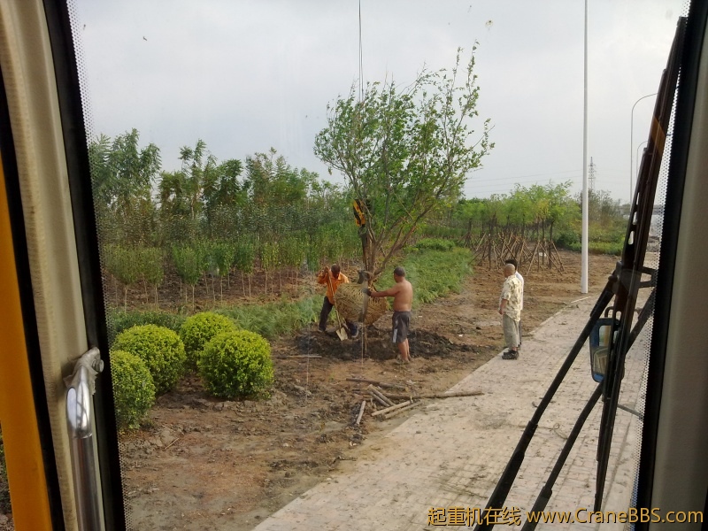 20110807006.jpg