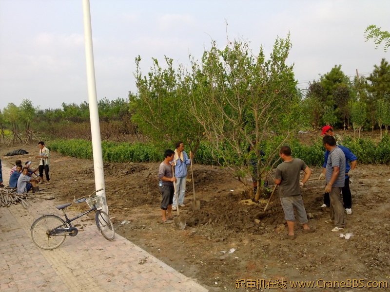 20110807007.jpg