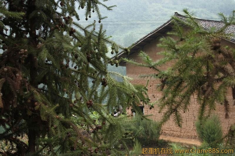 调整大小 IMG_2983.JPG