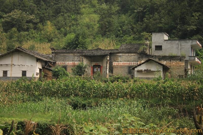 调整大小 IMG_3237.JPG