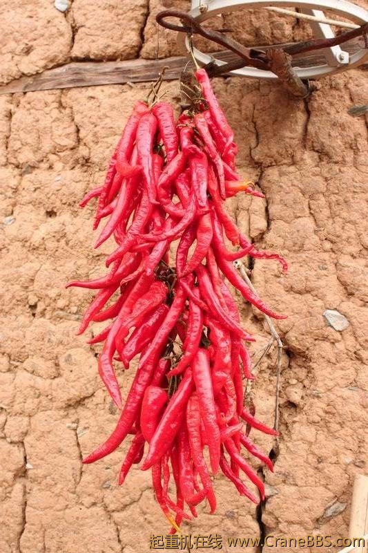 调整大小 IMG_3002.JPG