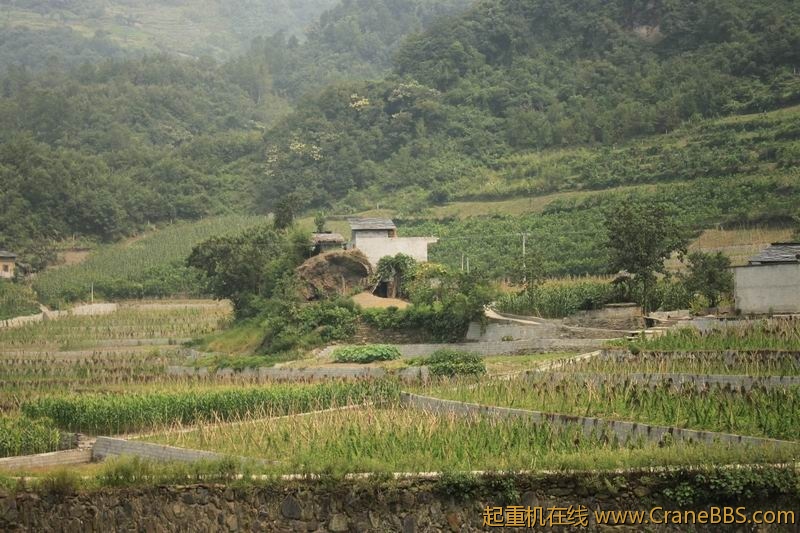 调整大小 IMG_3269.JPG