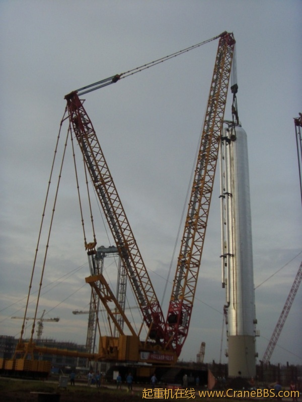 S73F2631_conew1.jpg