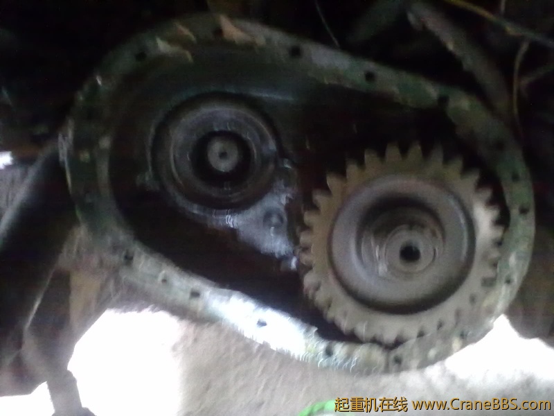 20110710521.jpg