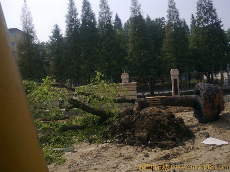 20110903173.jpg