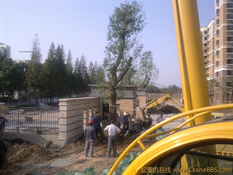 20110903178.jpg