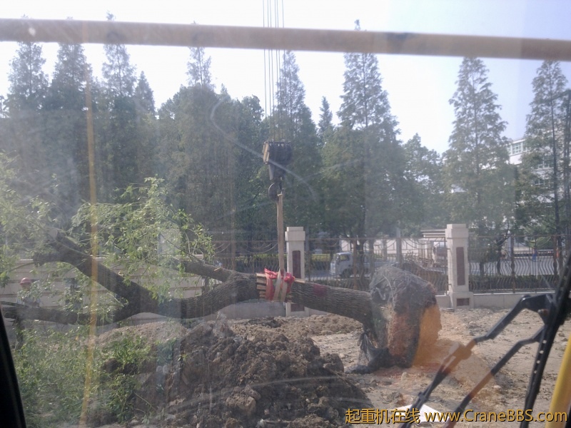 20110903174.jpg