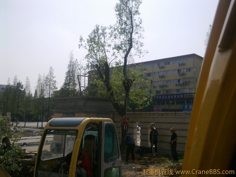 20110903175.jpg