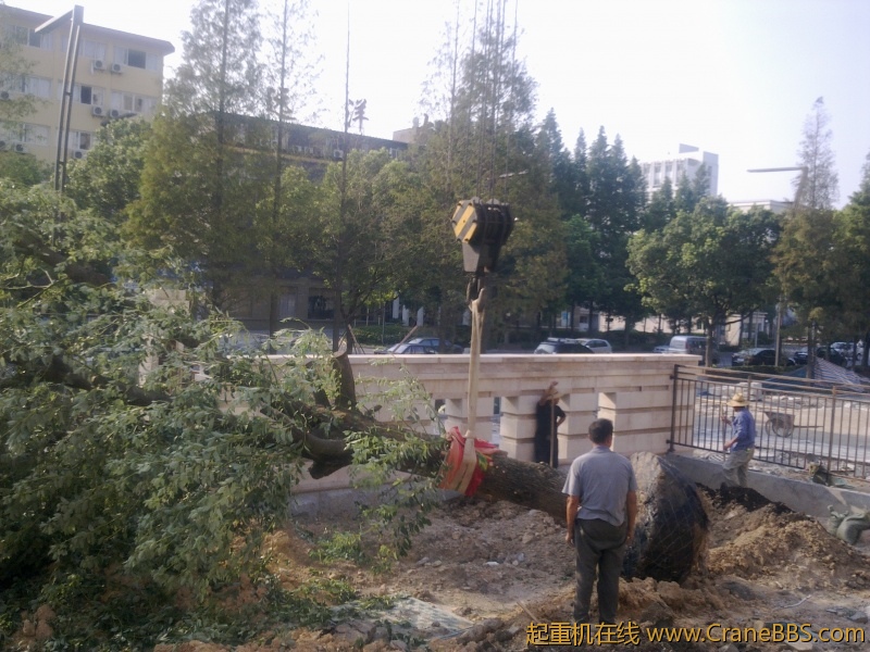 20110903177.jpg
