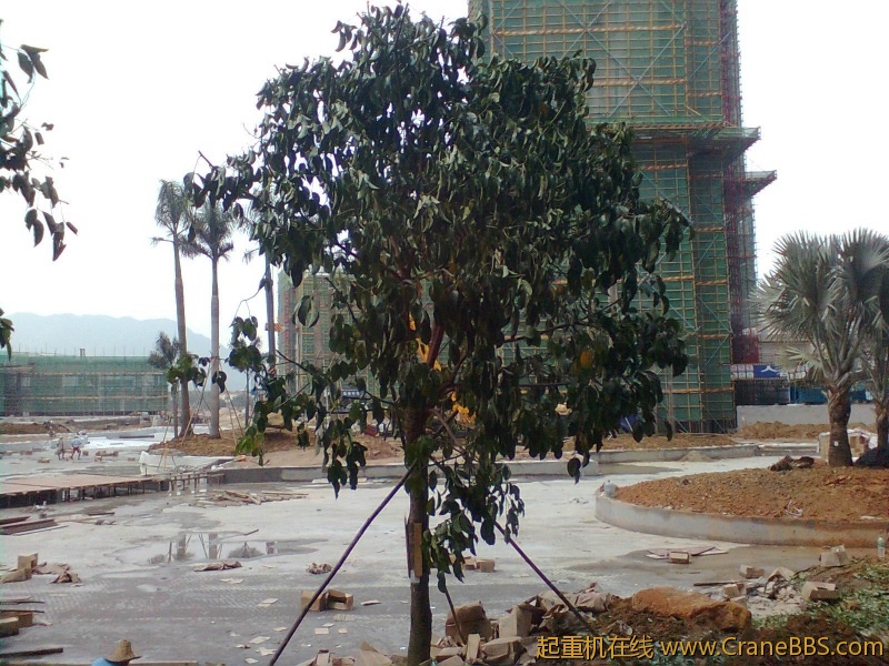 图像0899.jpg