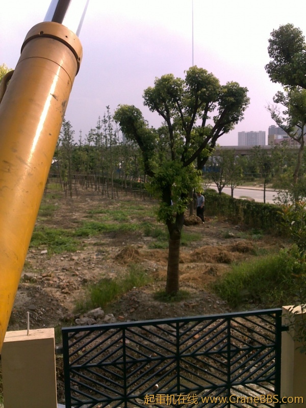 20110906496.jpg